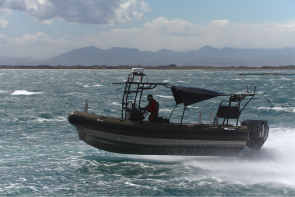 ZodiacMilpro SRA - Image 9